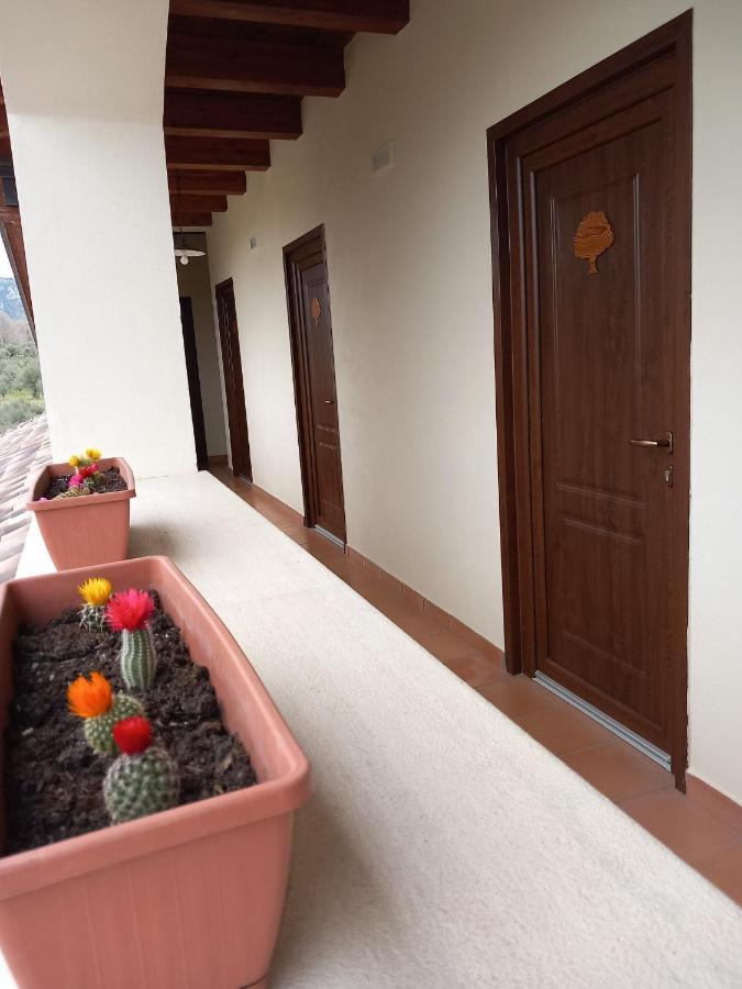 Agriturismo L'Ulivo Padula Εξωτερικό φωτογραφία