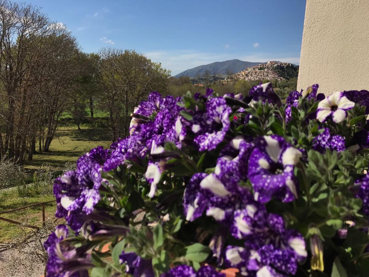 Agriturismo L'Ulivo Padula Εξωτερικό φωτογραφία