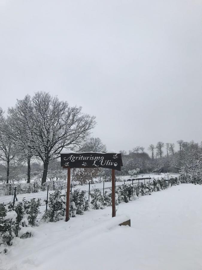 Agriturismo L'Ulivo Padula Εξωτερικό φωτογραφία