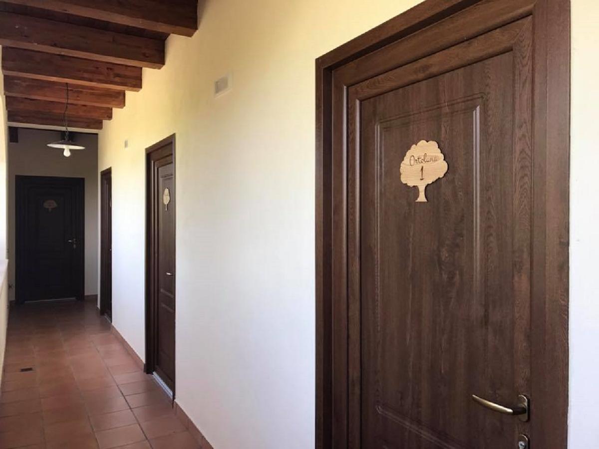 Agriturismo L'Ulivo Padula Εξωτερικό φωτογραφία